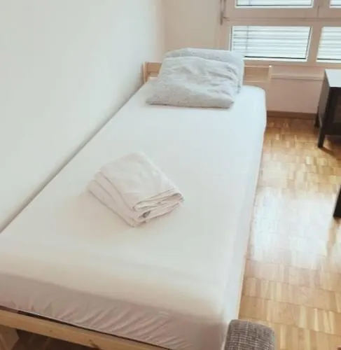 Daire Large Flat, Downtown Center Next To Hb Main Station Muller - Self Checkin Zürih