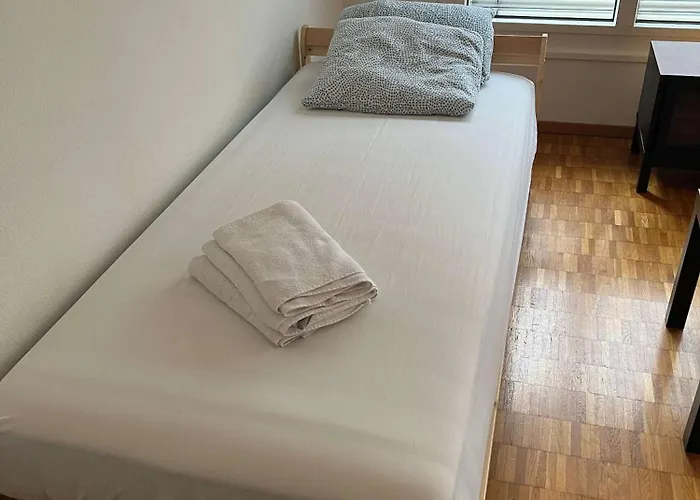 Large Flat, Downtown Center Next To Hb Main Station Muller - Self Checkin