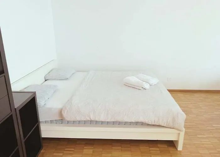 Large Flat, Downtown Center Next To Hb Main Station Muller - Self Checkin Apartamento Zúrich