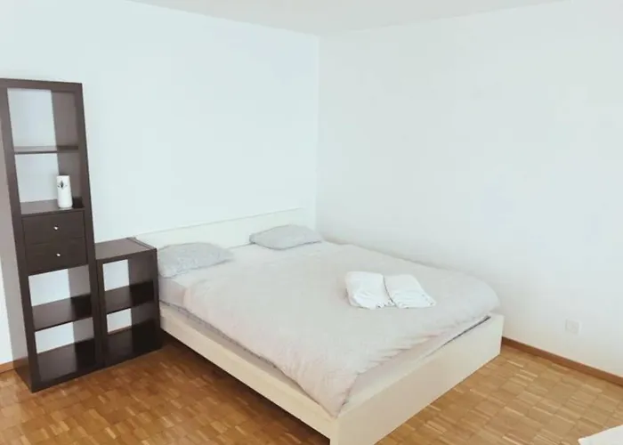 Appartamento Large Flat, Downtown Center Next To Hb Main Station Muller - Self Checkin Zurigo