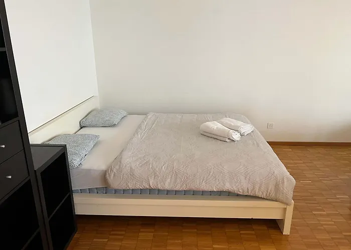 Large Flat, Downtown Center Next To Hb Main Station Muller - Self Checkin